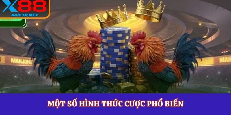 Một số hình thức cược phổ biến trong đá gà Campuchia cho anh em